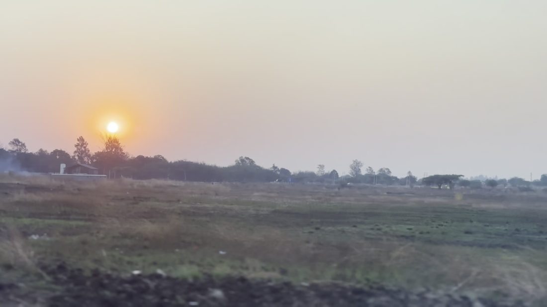 Rural field at golden hour