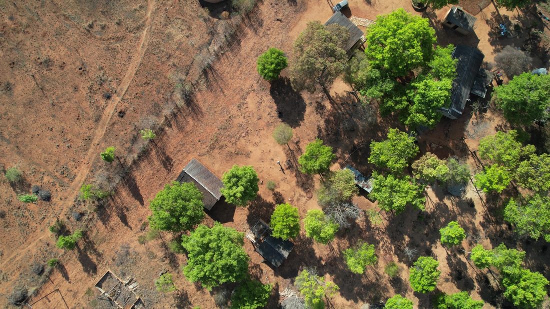 Village among trees