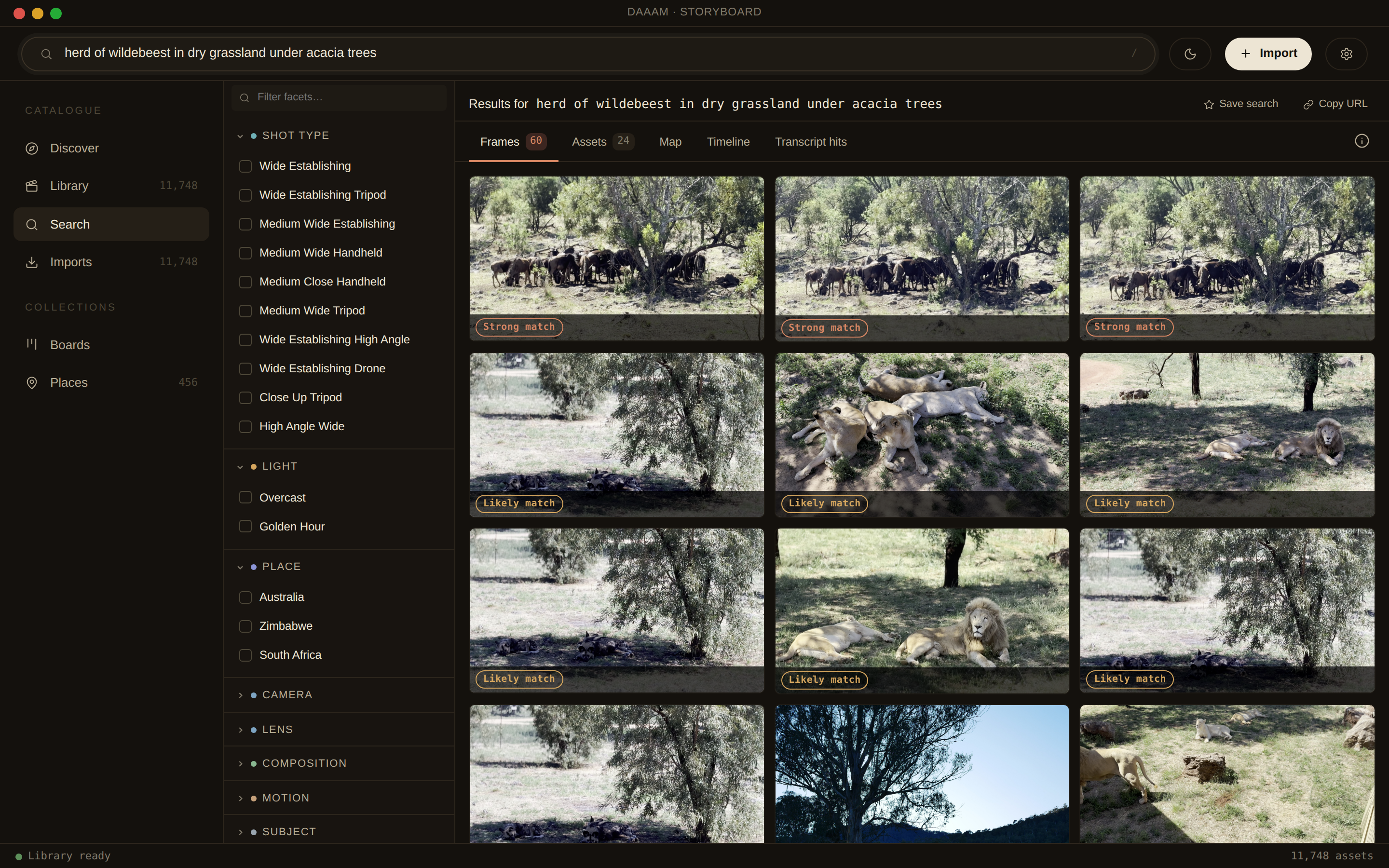 DAAAM searching “herd of wildebeest in dry grassland under acacia trees”
